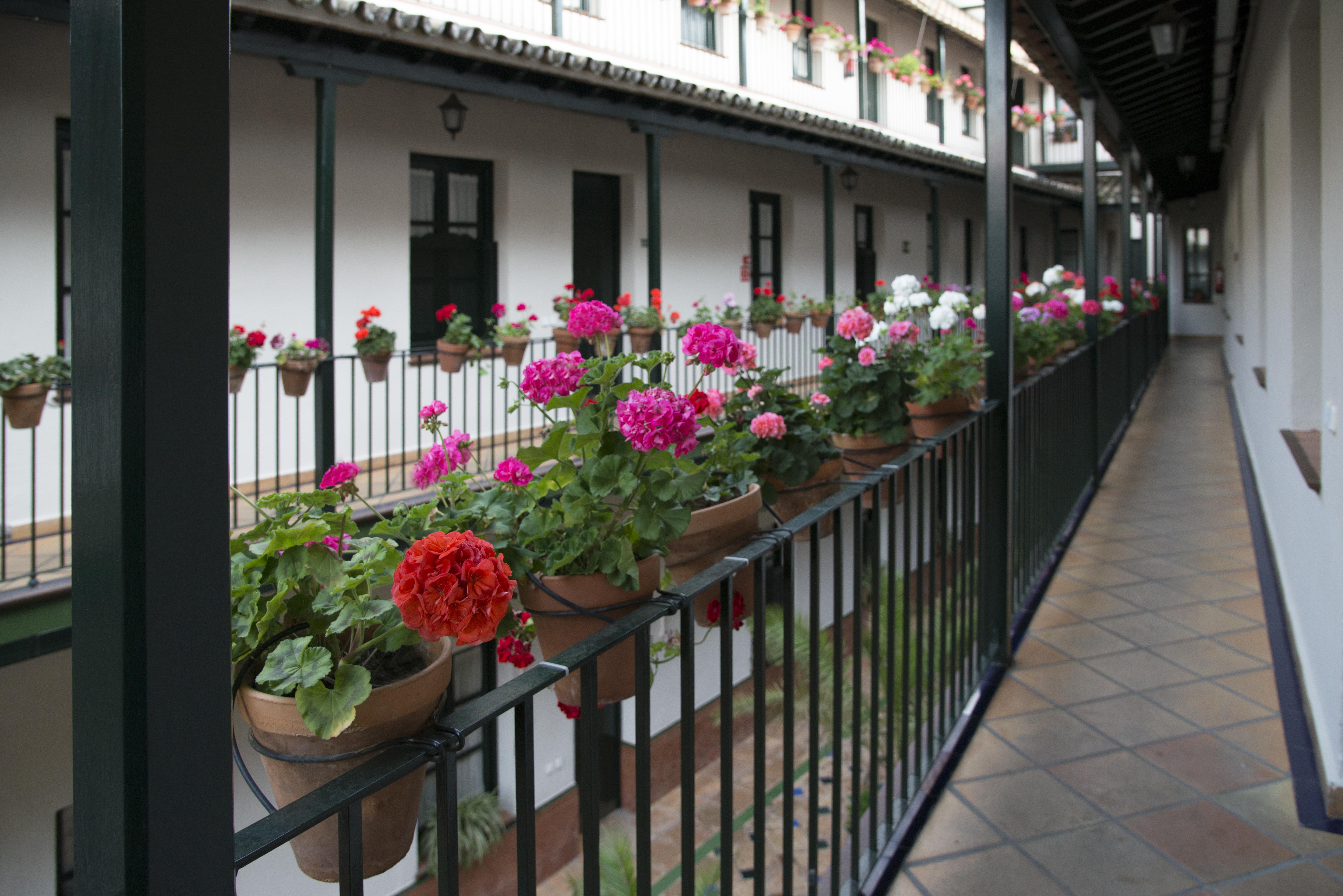 Corral De Los Chicharos Seville Exterior photo